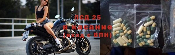 дживик Богданович